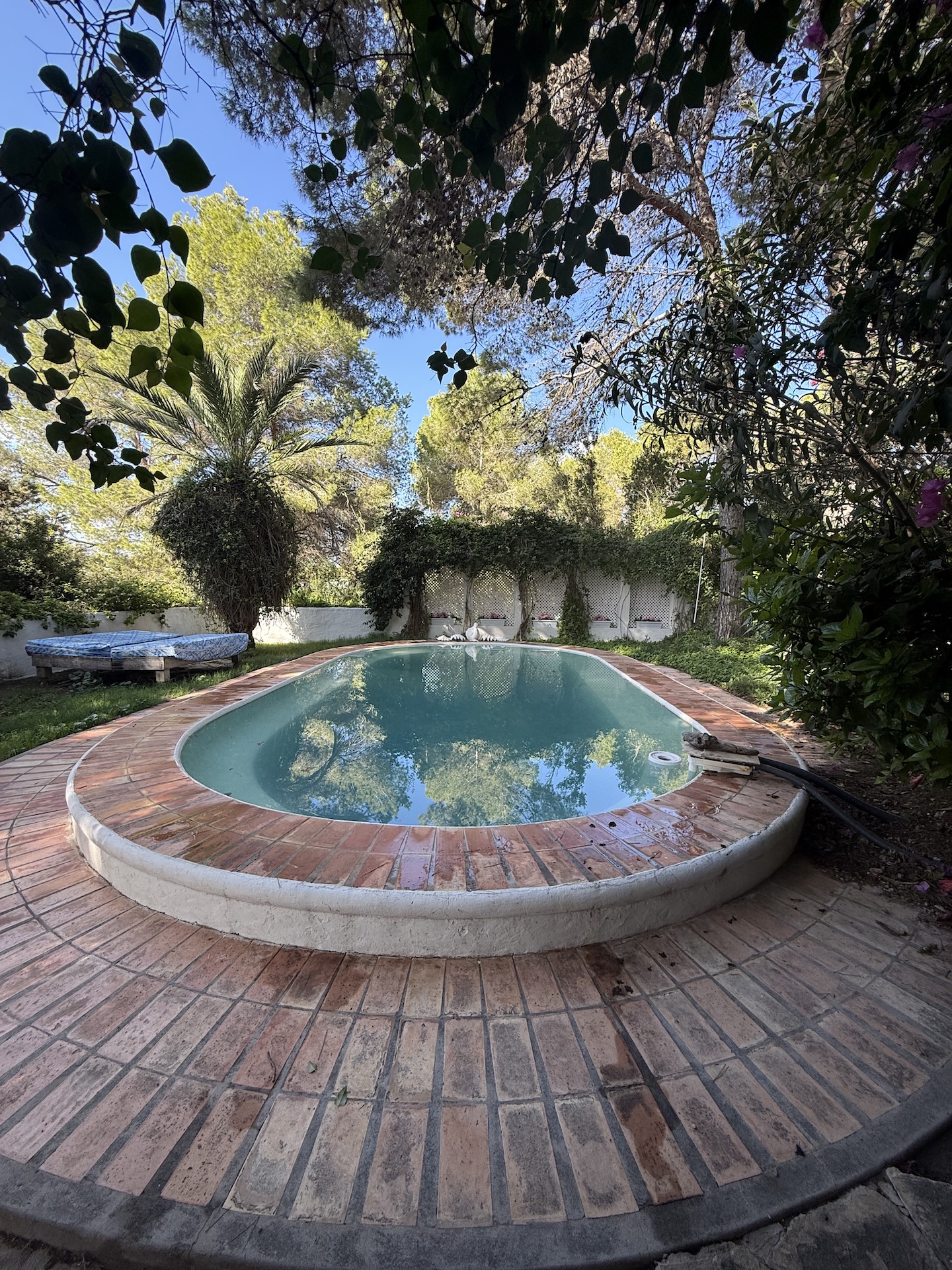 Resa Estates for sale te koop project Cala Tarida Ibiza pool.jpeg